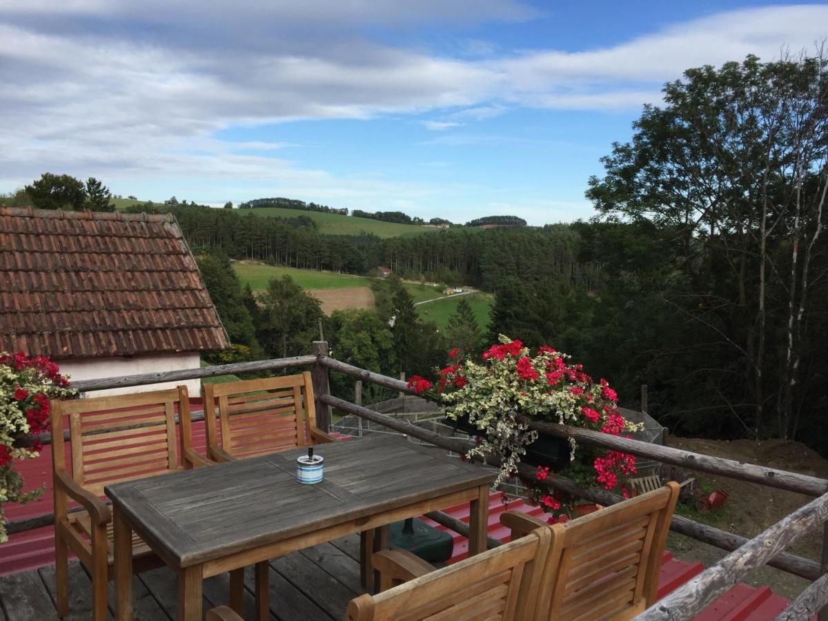 Haflingerhof Luef Villa Bad Schönau Kültér fotó