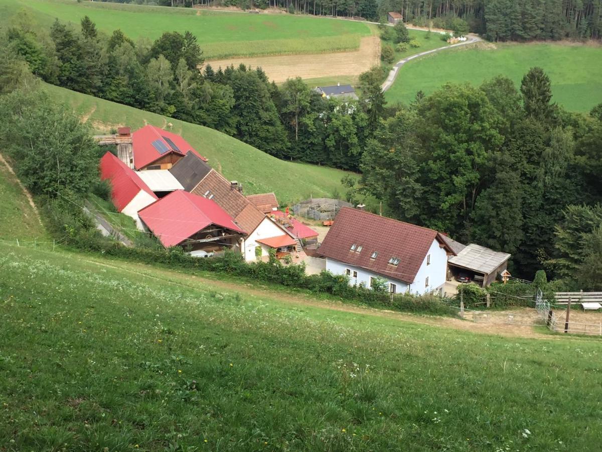 Haflingerhof Luef Villa Bad Schönau Kültér fotó