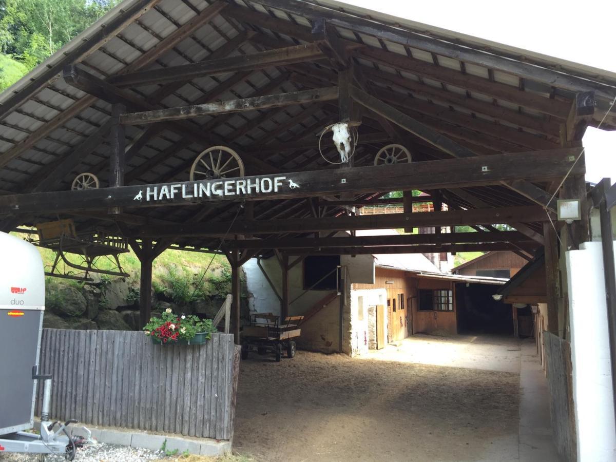 Haflingerhof Luef Villa Bad Schönau Kültér fotó