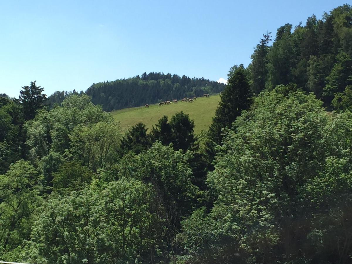 Haflingerhof Luef Villa Bad Schönau Kültér fotó